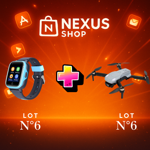 LOT N°6