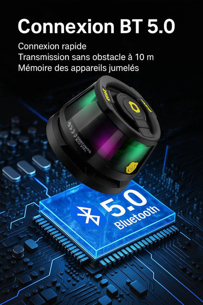 Mini enceinte portative